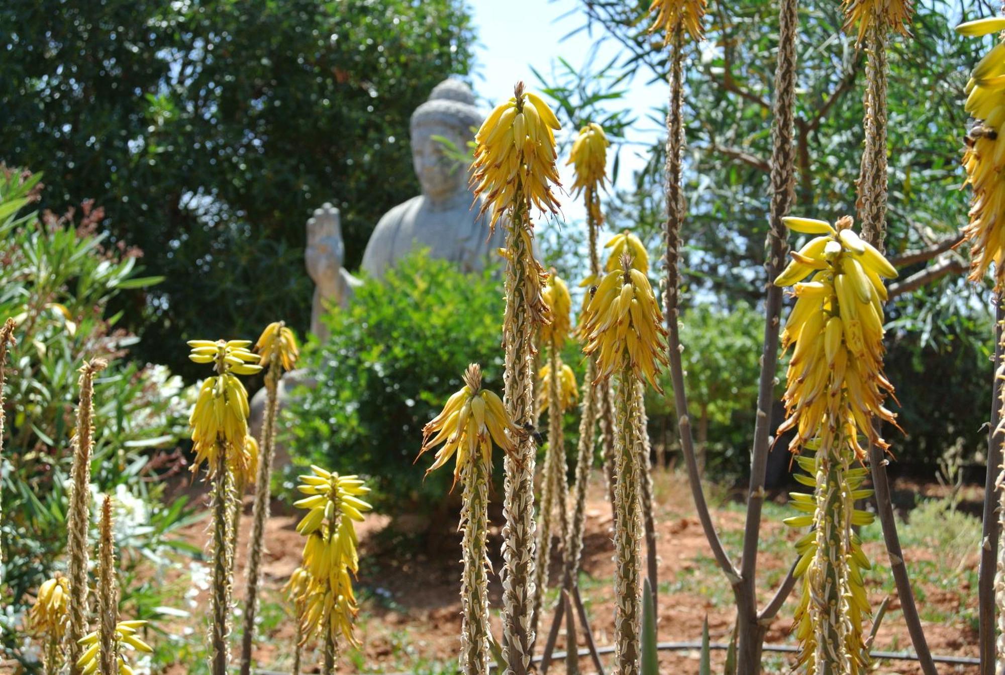 Agroturismo Finca Sa Tanca Cala d'Or  Ngoại thất bức ảnh