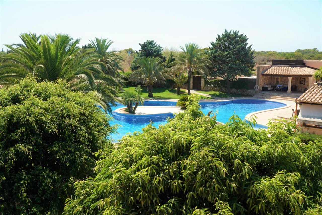 Agroturismo Finca Sa Tanca Cala d'Or  Ngoại thất bức ảnh
