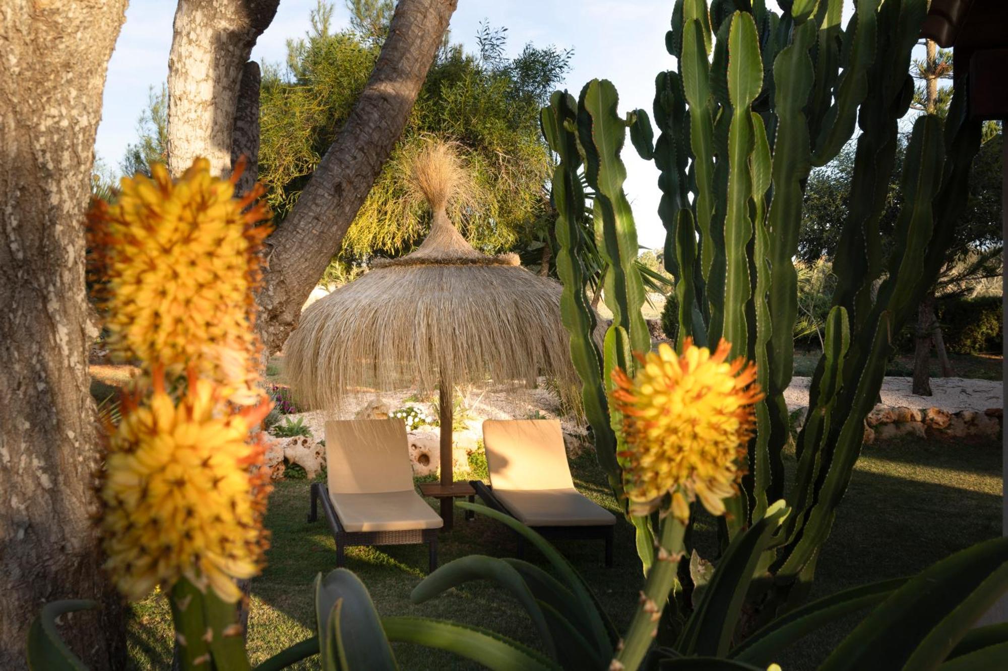 Agroturismo Finca Sa Tanca Cala d'Or  Ngoại thất bức ảnh